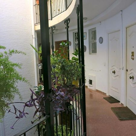 Oasis Junto Al Mar Apartment Torre Del Mar Exterior photo